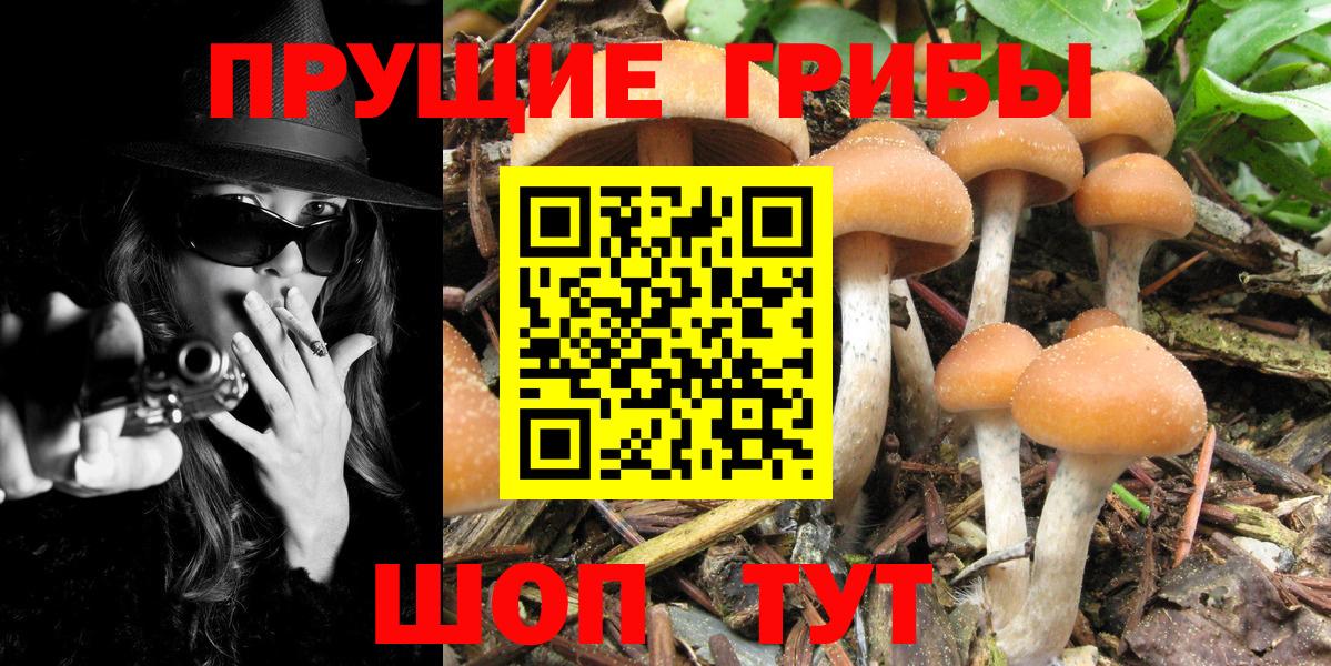 Псилоцибиновые грибы прущие грибы Барнаул