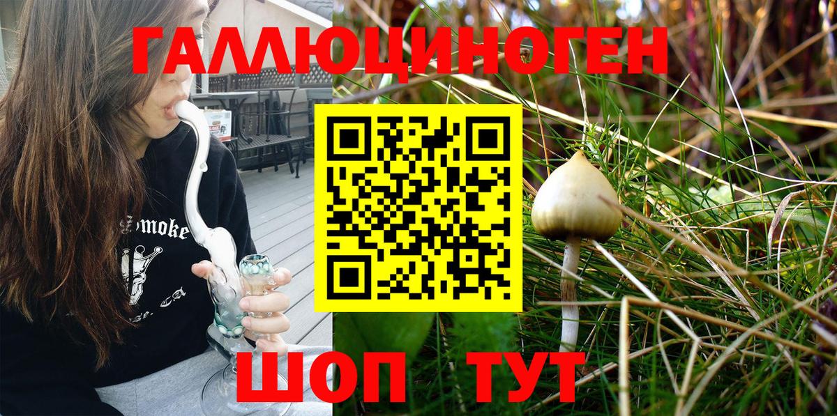 Псилоцибиновые грибы MAGIC MUSHROOMS  Галлюциногенные грибы Psilocybine cubensis  Барнаул  Вход с VPN 